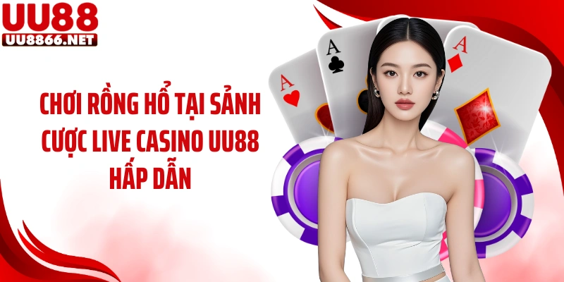 Chơi Rồng Hổ tại sảnh cược live casino UU88 hấp dẫn