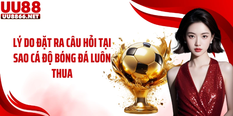 Lý do đặt ra câu hỏi tại sao cá độ bóng đá luôn thua